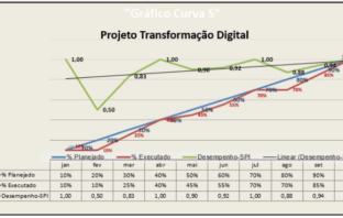 Curva S, O que é? Para que Serve? Como Se Alimenta?